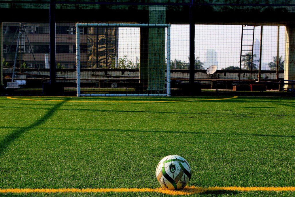 Turf and Flooring